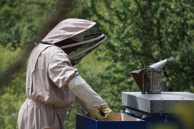 Precision Pollination
