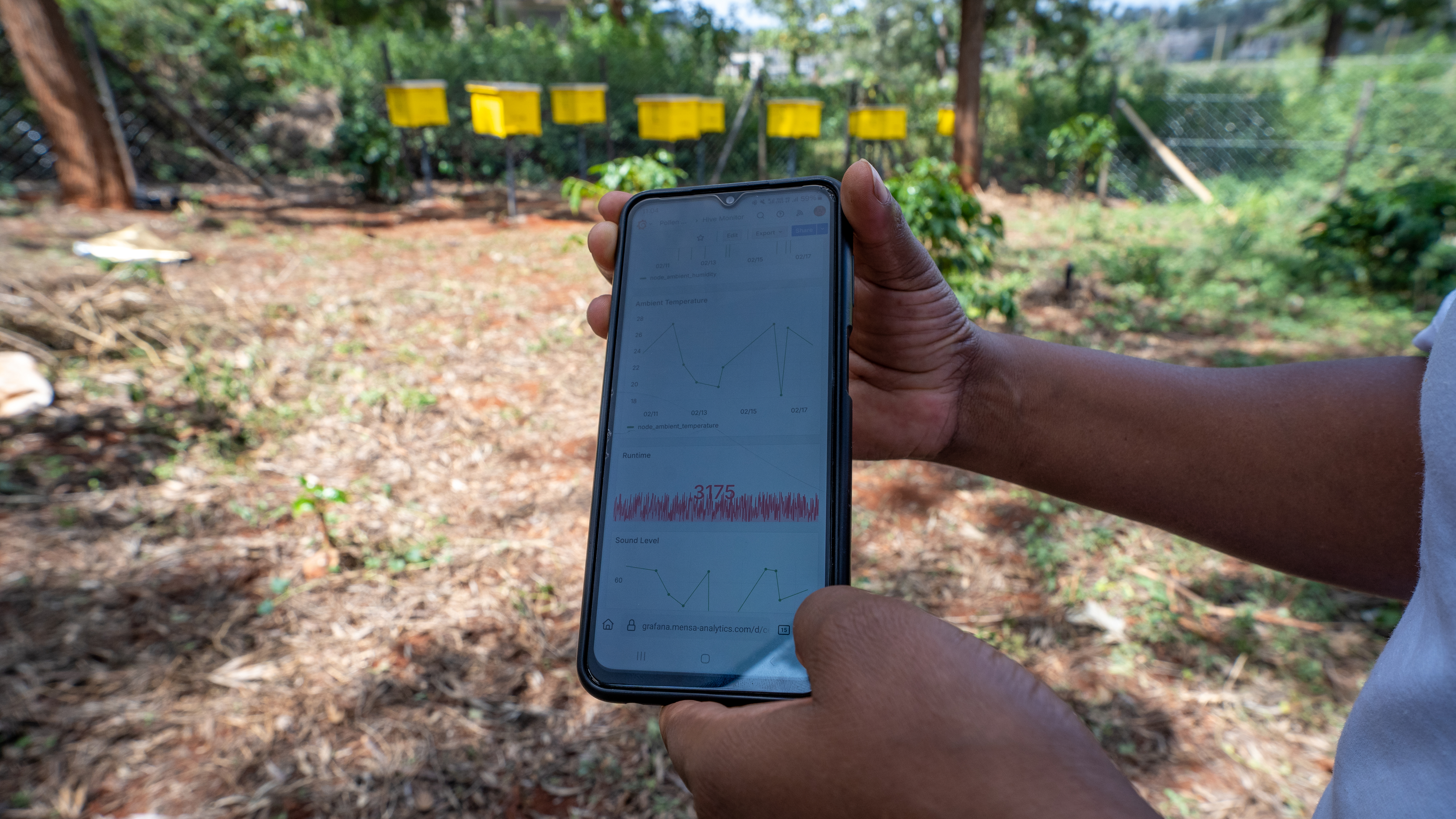 IoT Monitoring and Data Collection