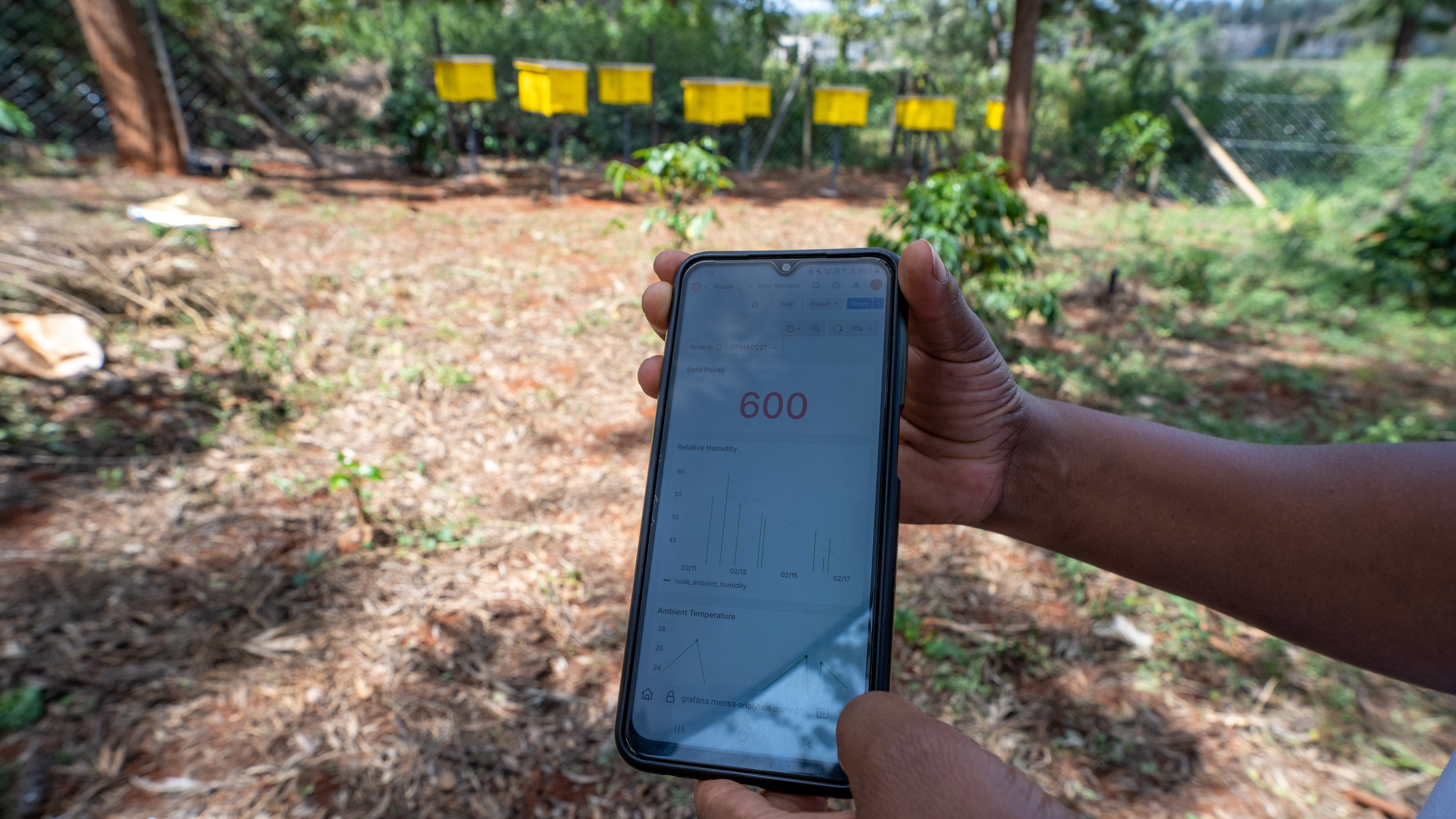Agricultural Technology Impact